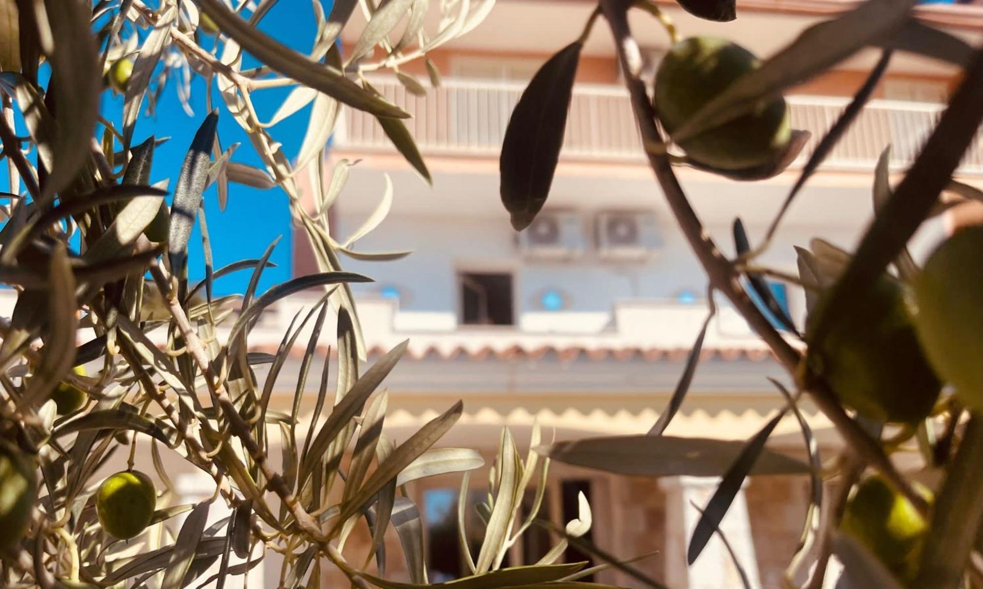 Sunrise Sardinia Posada Exterior foto